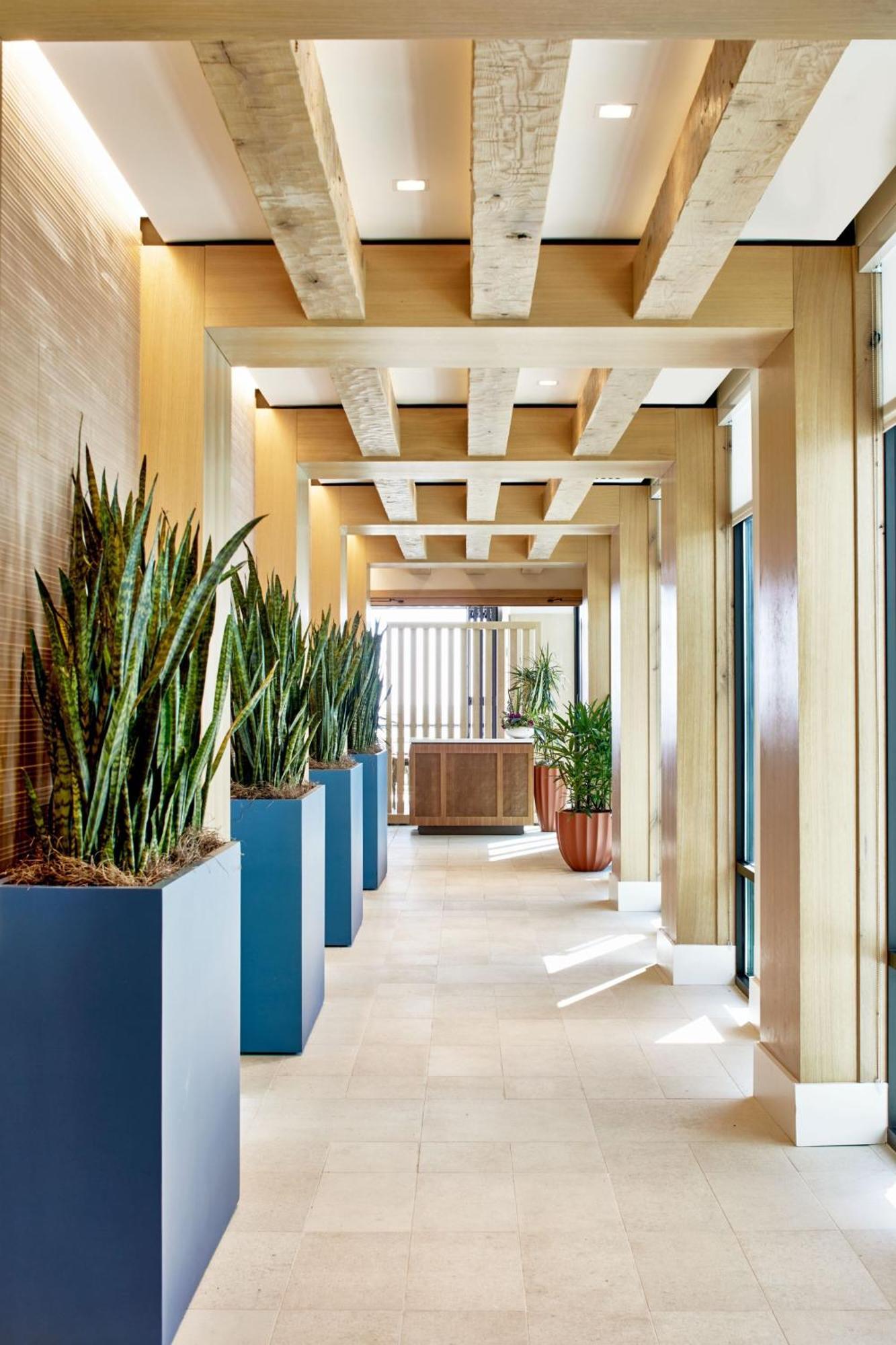 Springhill Suites By Marriott Jacksonville Beach Oceanfront 외부 사진